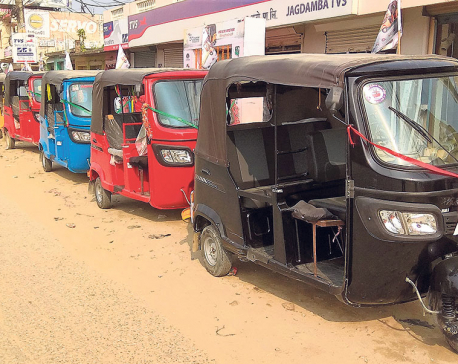 Import of auto-rickshaw via Birgunj up by 74 percent