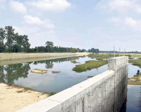 Construction of Rohini Irrigation Project sluggish
