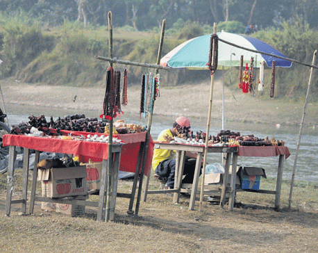 Coronavirus hits Chitwan tourism hard
