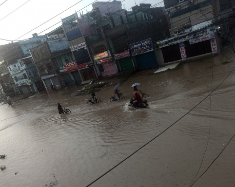 Parts of Dhangadhi inundated following incessant rain