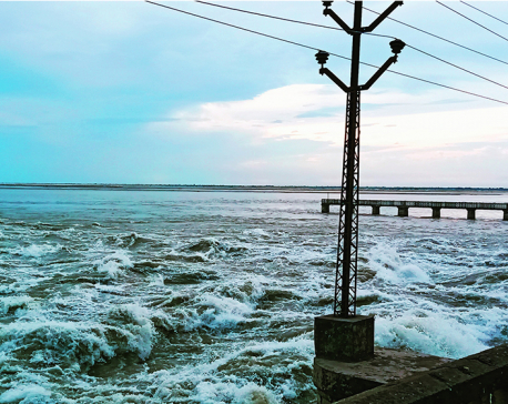 All 56 gates of Saptakoshi Barrage opened as floodwaters surge beyond critical threshold