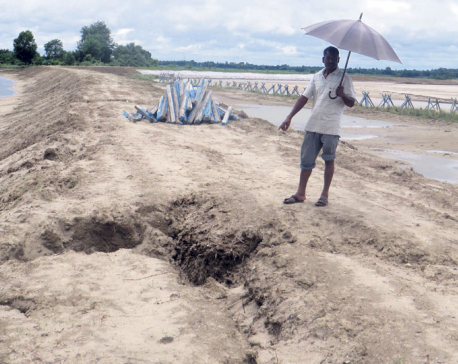 Saptari flood victims demand inquiry into embankment construction embezzlement