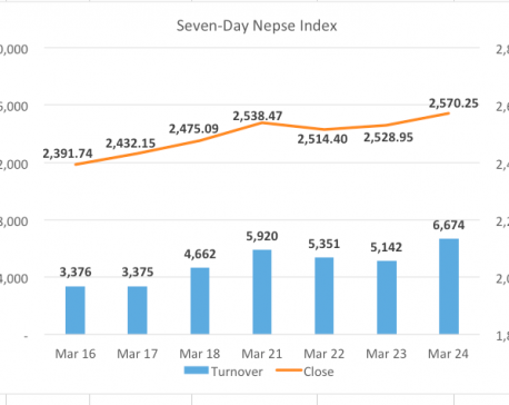Nepse rallies with improvement in turnover
