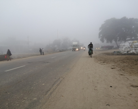 Cold wave cripples normal life in Terai districts (with photos)