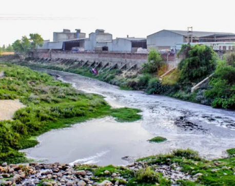 Cost of pollution: Once a boon, Sirsiya River turns a bane for Birgunj people