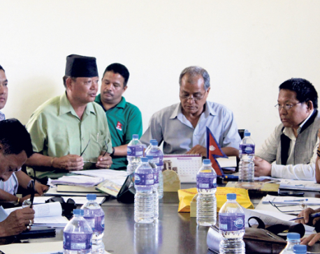 ANFA presidential election on October 24