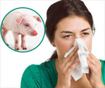 Two die of swine flu in Jhapa