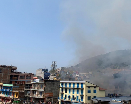 Damauli fire outbreak under control after five hours