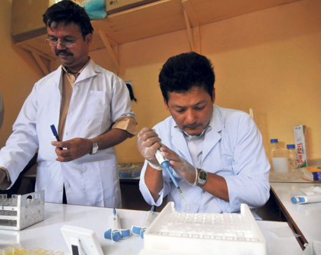 Lab conducts surprise pesticide test on Panchkhal vegetables