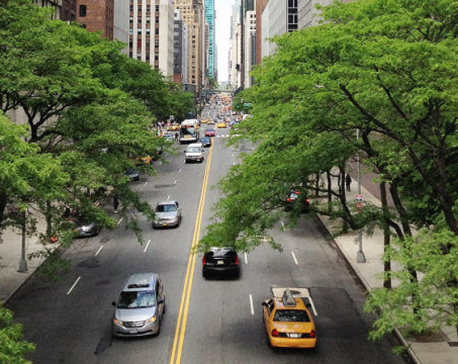 Trees make cities healthier
