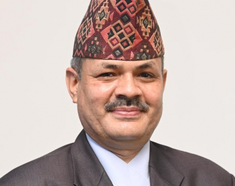 Pokharel is new acting CEO of Mega Bank