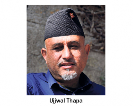 Bibeksheel Chairman Thapa not to contest for party chief again