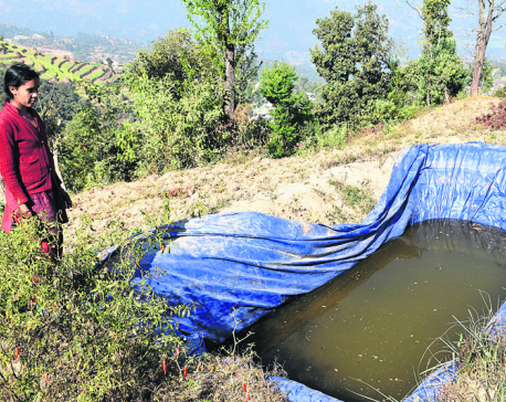 Water shortage further punishes quake victims