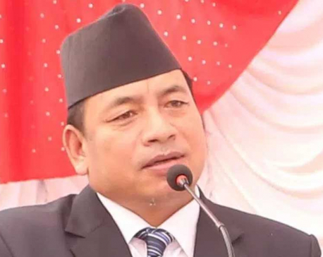 State should accord highest priority to development of ICT: VP Pun