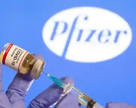 Factbox: Development of Pfizer-BioNTech coronavirus vaccine