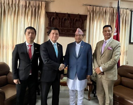 Nepal and Vietnam could collaborate in promotion of agriculture and tourism business: DPM Shrestha