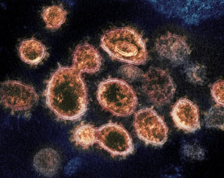 Virus variant from South Africa detected in US for 1st time
