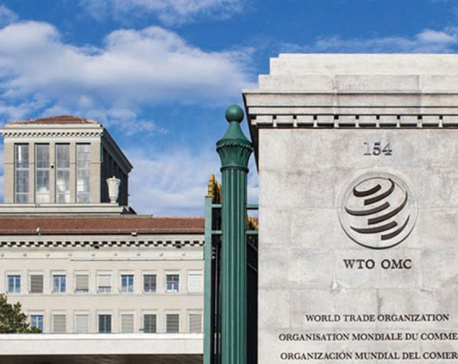 Relevance of WTO reform