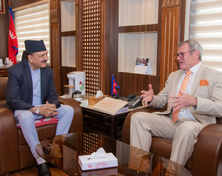 Germany willing to invest in clean energy, transmission lines and pharmaceutical industries in Nepal