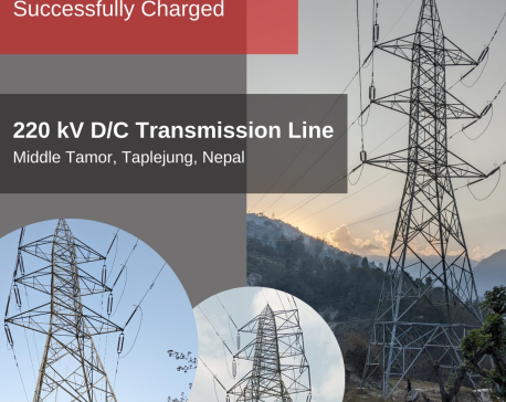 Cosmic Electrical completes 220 kV transmission line project