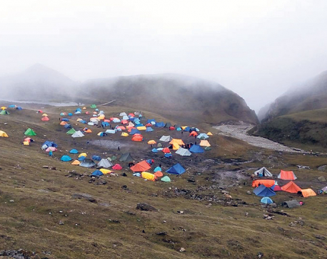 Dolpa to open Yarsagumba collection from May 15