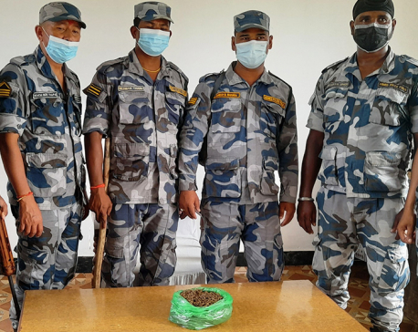 Police seize yarsagumba worth Rs 1 million