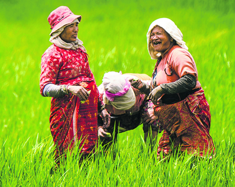 Women Farmers in Nepal: Vanguard of Rural Economy