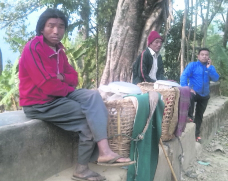 Baglung exporting milk worth Rs 25m