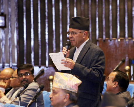 PM should carry out activities taking Parliament into confidence: Leader Rijal