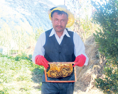 Beekeeping works wonders for Myagdi farmer