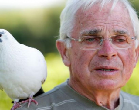 Birdman of Brittany: French pensioner befriends pigeon
