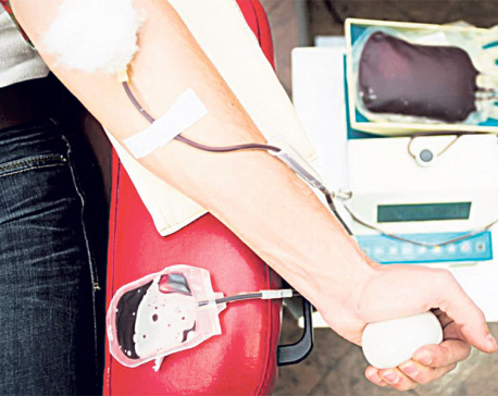 Saving lives; Things you need to know before you donate blood