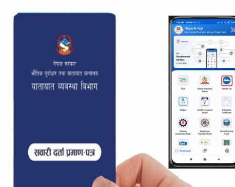 Online blue book renewal and tax payment closed in Bagmati Province, service-seekers in distress