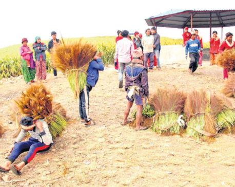 Broom worth Rs 100 million sold during Tihar