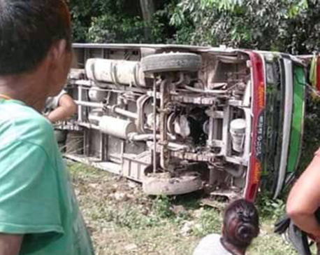 Seven injured in Kailali bus accident
