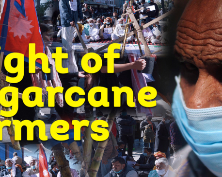 VIDEO STORY: Plight of sugarcane farmers: Mill owners can’t be traced, govt can’t be trusted