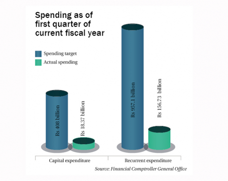 Only 4.41% capital spent in Q1 of FY2019/20