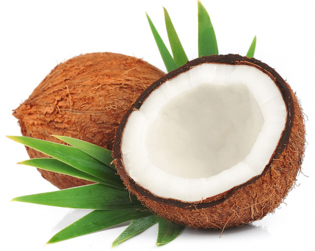 Coconut is your mantra for good health in winter, here's why!