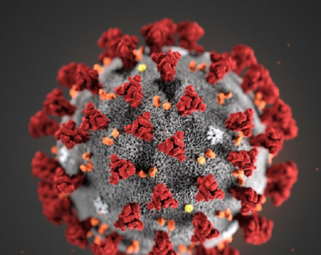 Tuberculosis vaccine may be limiting COVID-19 deaths; dormitory screening urged