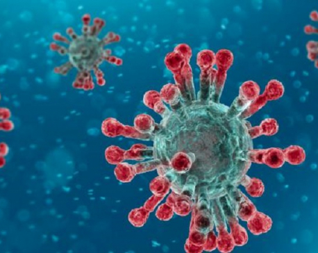 Germany's confirmed coronavirus cases rise by 436 to 216,327: RKI