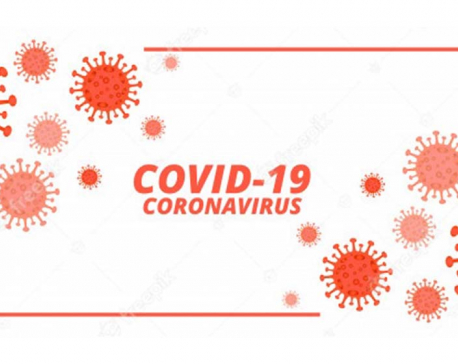 44 died of COVID-19 on Wednesday