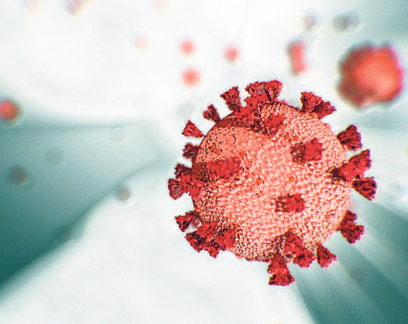 India reports another record coronavirus surge