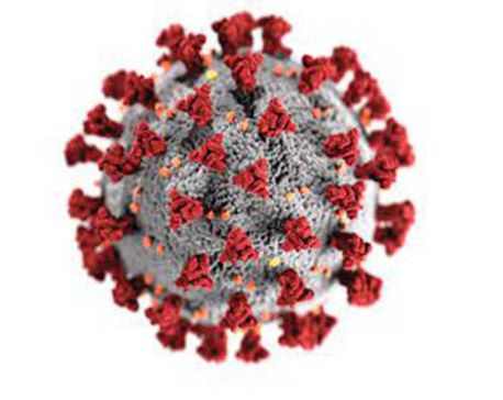 Banke is at high risk of coronavirus