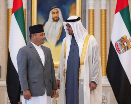 Ambassador Chhetri presents credentials before UAE President