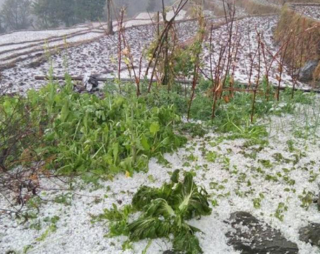 Earthquake victims suffer as snow, hailstone lash out northern Dhading