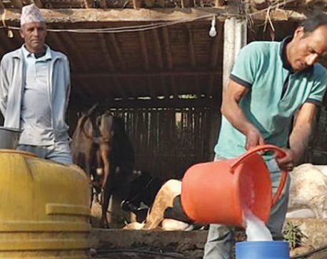 Govt fails to fulfill its commitment to pay dues to dairy farmers within agreed period