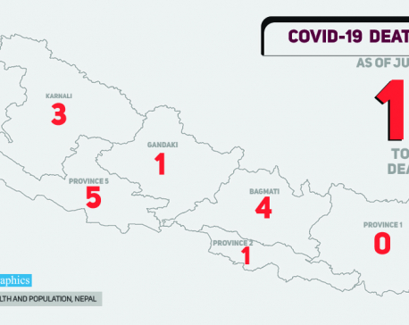 Health Ministry confirms 16th case of fatality due to COVID-19 in Nepal