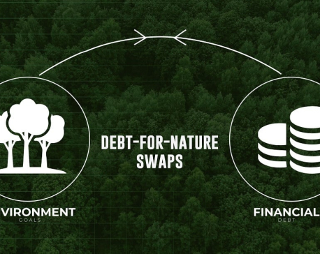 Debt for Nature Swaps: Exploring Avenues for Environment Finance
