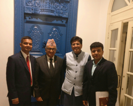 Nepali envoy  Upadhyay meets with Indian minister