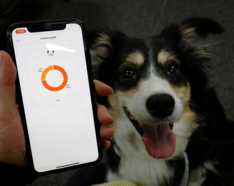 South Korean firm's smart dog collar tells owners what's in a bark